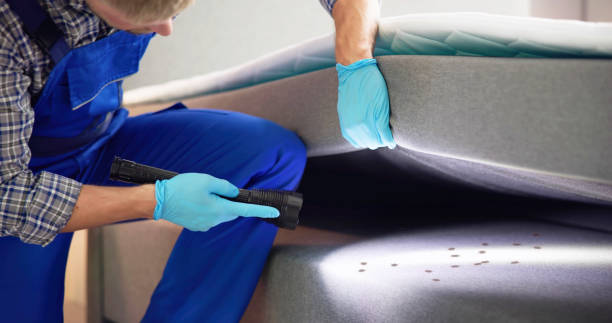 Best Pest Removal Services  in Plainview, MN
