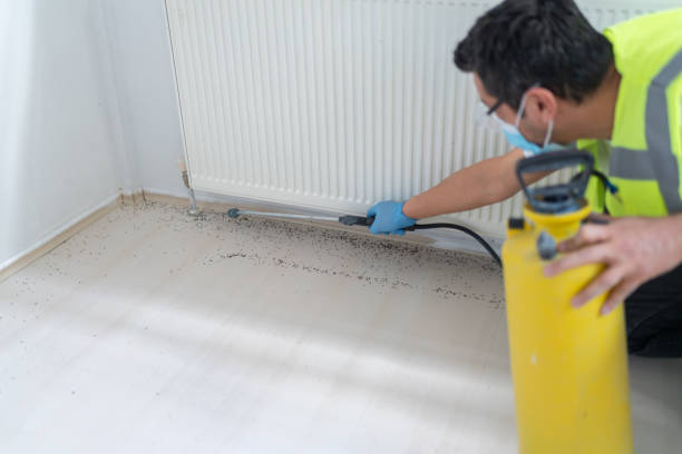 Best Affordable Pest Control Services  in Plainview, MN