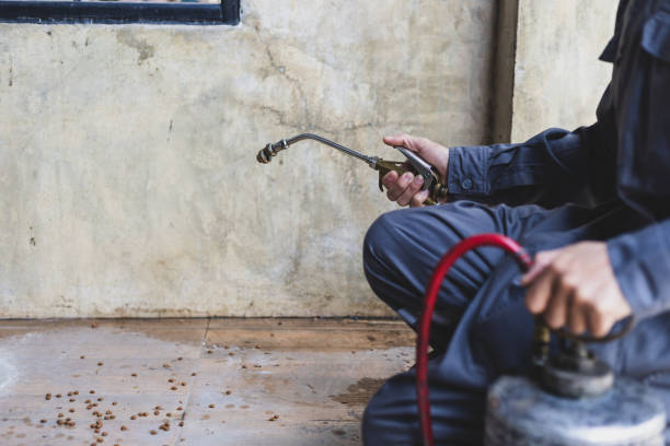 Best Pest Prevention Services  in Plainview, MN