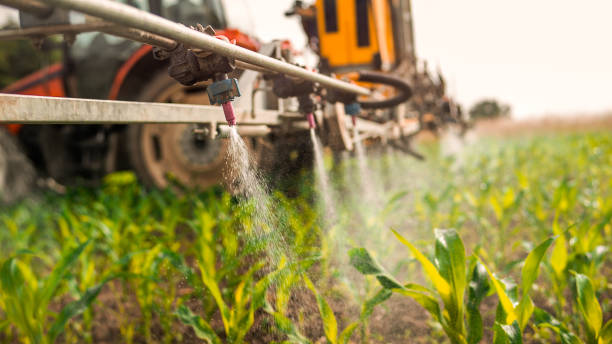 Best Best Pest Control Companies  in Plainview, MN