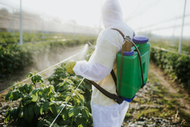 Best Commercial Pest Control Services  in Plainview, MN